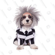 Beetlejuice Pet Costume | $20 | Amazon